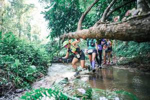 BIB: 
                            <button type="button" onclick="openModal(25459617)" class="btn btn-primary btn-sm float-right btn-popup" data-toggle="modal" data-target=".modal-high-quality">
                        <i class="fas fa-shopping-cart"></i> Add to Cart
                    </button>
                                            <button type="button" onclick="isThisMe(25459617, true)" class="btn btn-success btn-sm float-right btn-popup btn-isme hidden" data-toggle="tooltip" data-placement="bottom" title="นี่คือรูปของคุณใช่ไหม คลิกที่นี่เพื่อเอาเข้าอัลบั้ม">
                        <i class="fas fa-plus"></i> Add to album
                    </button>
                    <button type="button" onclick="isThisMe(25459617, false)" class="btn btn-warning btn-sm float-right btn-popup btn-isnotme hidden">
                        <i class="fas fa-ban"></i> Remove from album
                    </button>